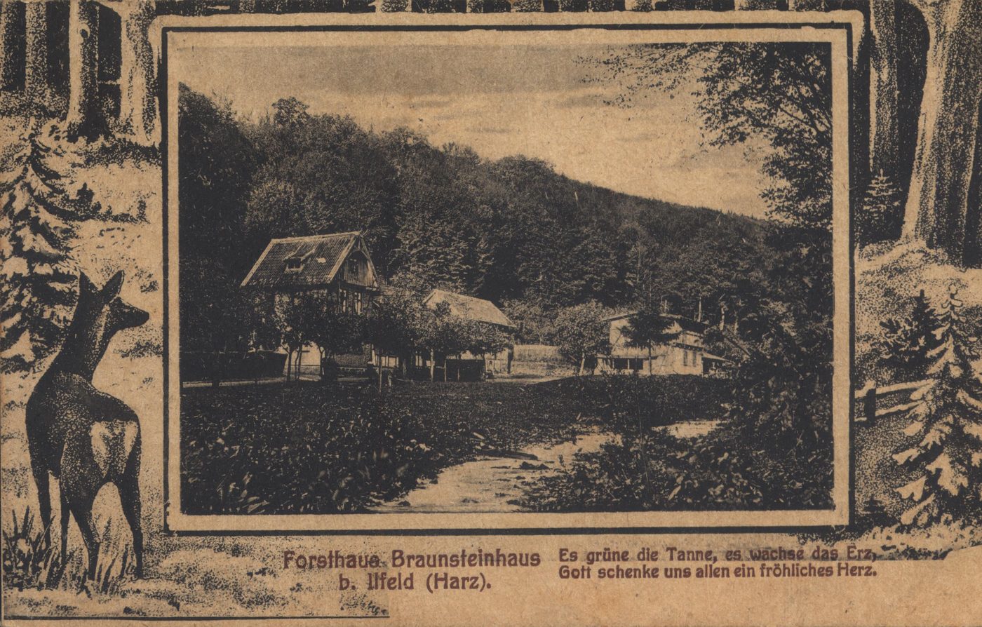 Ansichtskarte um 1919: Forsthaus Braunsteinhaus bei Ilfeld im Harz