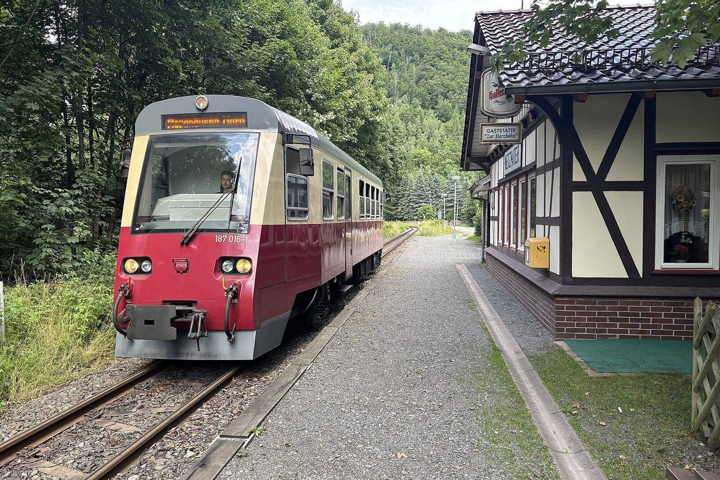 Triebwagen der Harzer Schmalspurbahn am Haltepunkt Netzkater