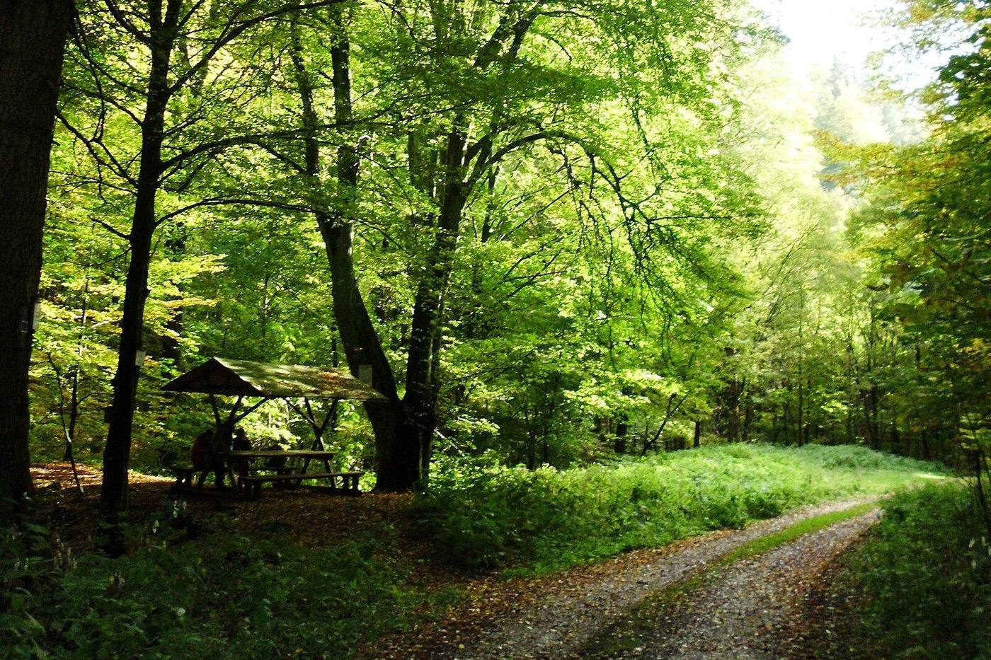 Rastplatz an der ehemaligen Steinmühle bei Rothesütte