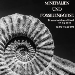 Mineralien -und Fossilienbörse Braunsteinhaus/Ilfeld